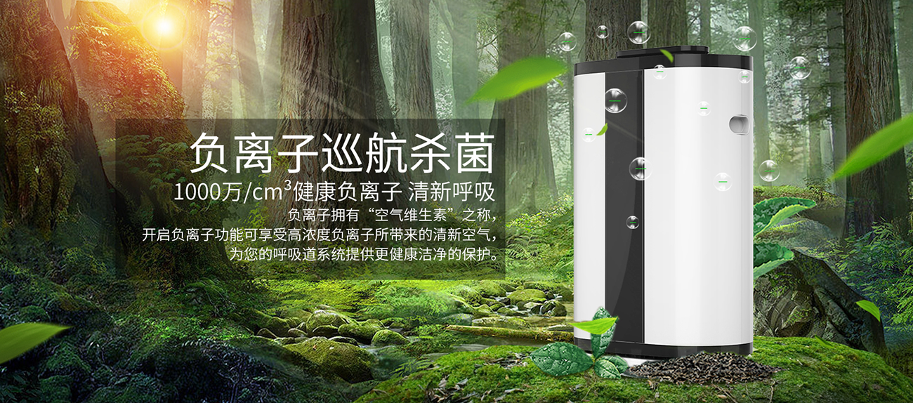 負離子巡航殺菌